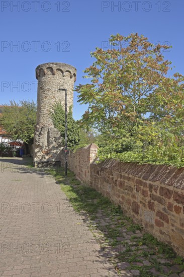 Historic defence defence tower built in the 14th century, town wall, town fortification, Wiesloch, Baden-Württemberg, Germany
