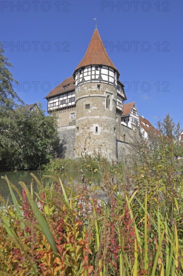 Zollern Castle built ca. 1255 with water tower with grasses, autumn colours, Castle, Balingen, Swabian Alb, Baden-Württemberg, Germany