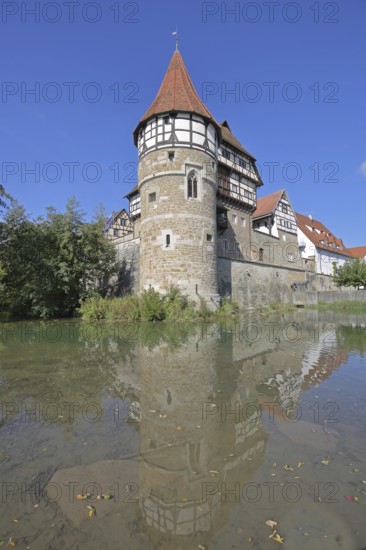 Zollern Castle built around 1255 with water tower on the Eybach stream, half-timbered house, reflection, water, castle, Balingen, Swabian Alb, Baden-Württemberg, Germany