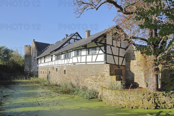Clover castle built 14th century with moat, moated castle, half-timbered house, pond, Weidesheim, Euskirchen, Vordereifel, Eifel, North Rhine-Westphalia, Germany