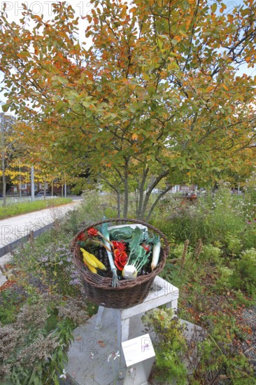 Sculpture market basket with chair by Thomas Schmidt, modern art, metal design, metalworking, steel sculpture, real replica, various mixed fruit and vegetables, fruit basket, fruit, bananas, kohlrabi, kale, leek, tomato, radish, roses, wicker basket, shopping basket, park, autumn colours, Bastinsweiher, Rhineland, Stolberg, North Rhine-Westphalia, Germany