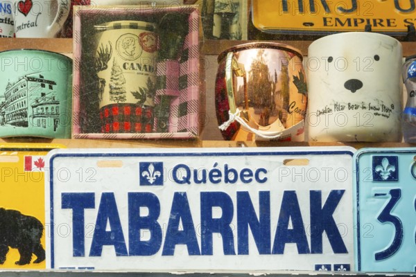 Close-up of French Quebecois swear word Tabarnak on ornamental Quebec motor vehicle license plate displayed in souvenir shop, Old Montreal, Quebec, Canada
