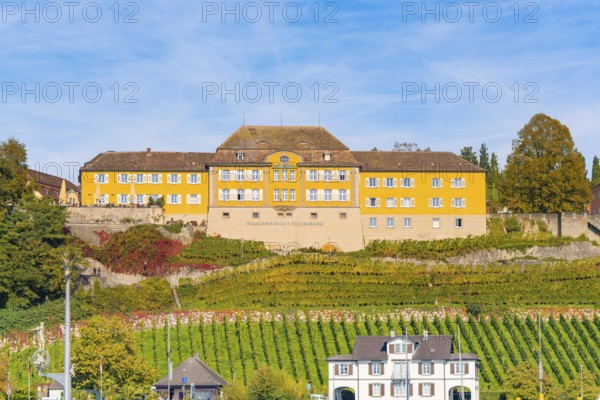 Yellow building on a hill surrounded by vines with an autumnal atmosphere, Meersburg, Lake Constance, Germany