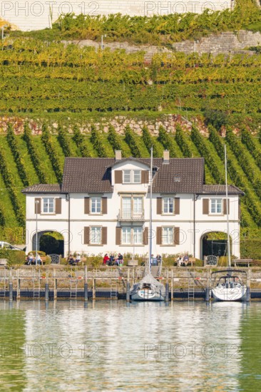 Small house on the lakeshore in front of extensive vineyards with boats in the foreground, Meersburg, Lake Constance, Germany