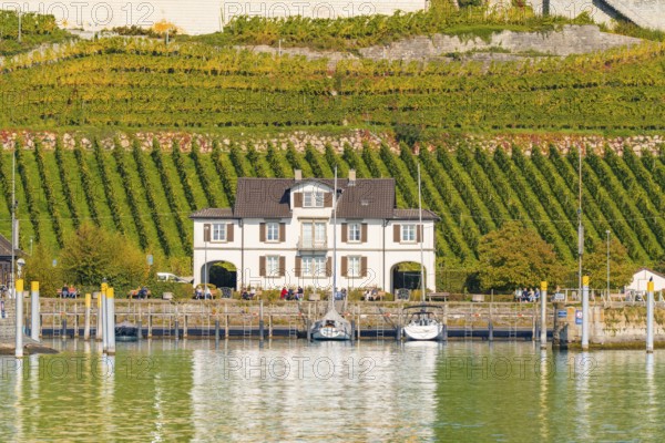 House with boats on the lakeshore against a backdrop of green vineyards, Meersburg, Lake Constance, Germany