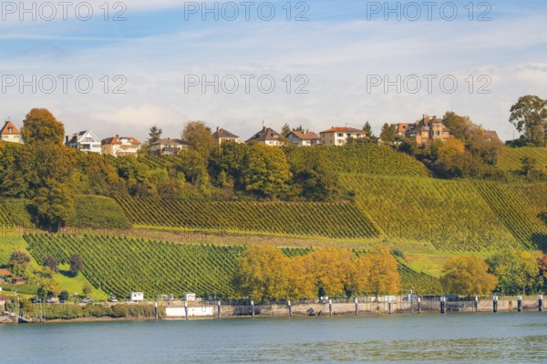 Vineyards stretch over hills with houses, river in the foreground, Meersburg, Lake Constance, Germany