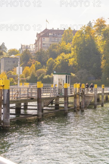 Wooden jetty on the lakeshore with autumnal trees and promenade, Mainau Island, Lake Constance, Germany