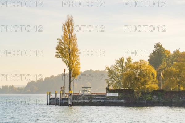 A jetty with trees and yellow leaves extends into a tranquil autumn landscape, Mainau Island, Lake Constance, Germany