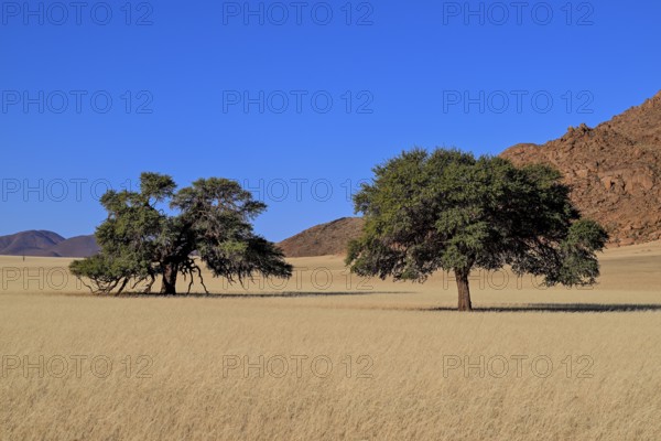Landscape on the Kanaan farm of the nature conservation organisation Naankuse, Tirasberge, Karas region, Namibia