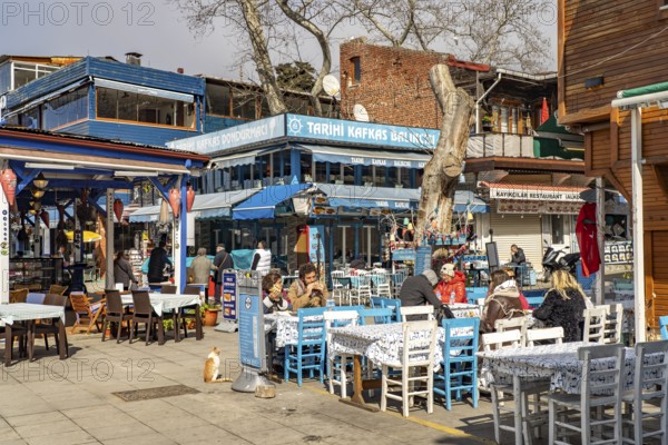 Fish restaurants in Anadolu Kavagi on the Bosphorus near Istanbul, Turkey