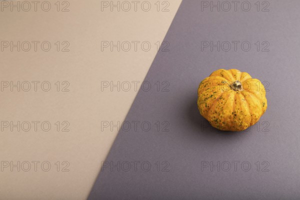 Orange Pumpkin on beige and gray pastel paper background. Side view, copy space, flat lay. healthy food, vegetable, minimalism