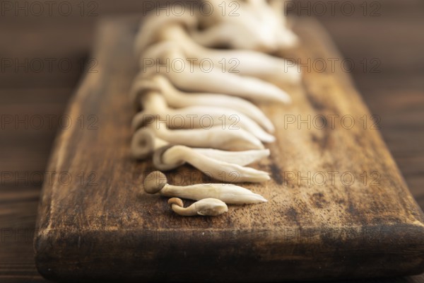 Raw Oyster mushroom, Pleurotus ostreatus on cutting board on brown wooden background. Side view, minimalism, selective focus
