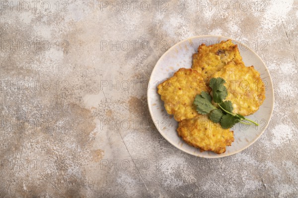 Fried crispy Chicken pancakes on brown concrete background. top view, flat lay, copy space