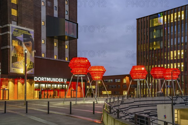 Illuminated sculptures of Dortmund roses in front of Dortmund's landmark U, Centre for Art and Creativity at dusk, Dortmund, North Rhine-Westphalia, Germany