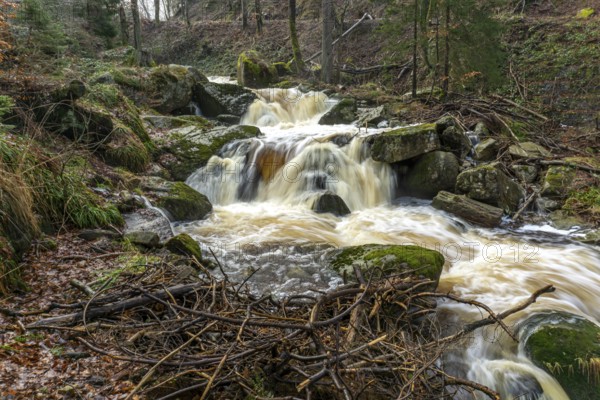 The Ilse at the Heinrich-Heine-Weg near Ilsenburg, Saxony-Anhalt, Germany