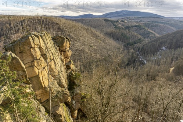 The Rabenklippe and dead trees in the Harz National Park near Bad Harzburg, Lower Saxony, Germany