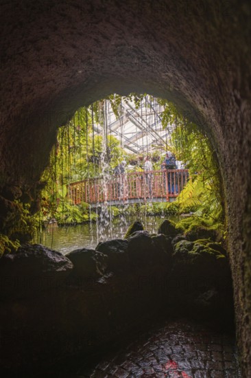 View from a cave, waterfall and people on a bridge, surrounded by lush plants, Mainau Island, Lake Constance, Germany