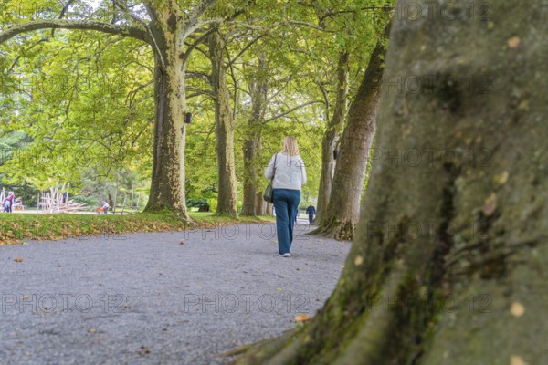 Woman walking alone on a tree-lined path in a park, Mainau Island, Lake Constance, Germany