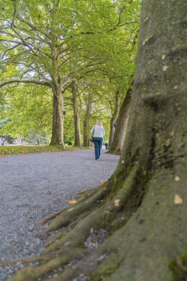 Woman walking away from large trees on a paved path, Mainau Island, Lake Constance, Germany