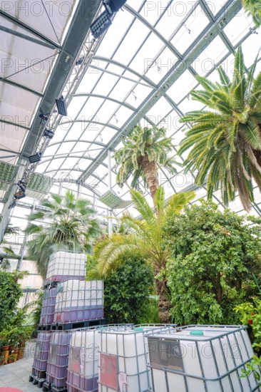 Large tanks and palm trees under a greenhouse roof with an industrial flair, Pepperoni Haus, Mainau flower island, Lake Constance, Germany