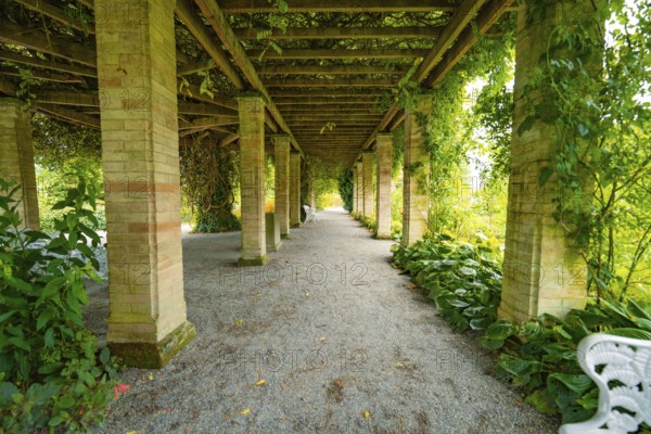 A long gravel path under a pergola covered with plants in a garden, Mainau Island, Lake Constance, Germany