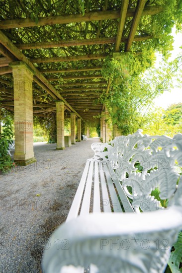 A white bench under a leafy pergola in a quiet garden area, Mainau Island, Lake Constance, Germany