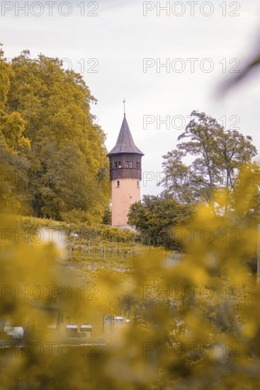 Single tower rises out of autumn landscape with orange-coloured trees, Mainau Island, Lake Constance, Germany