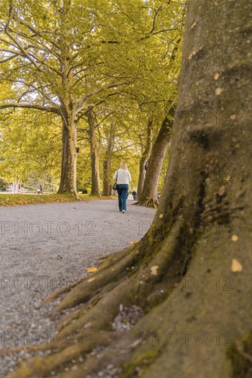 Woman in autumnal surroundings walking alone on a path, Mainau Island, Lake Constance, Germany