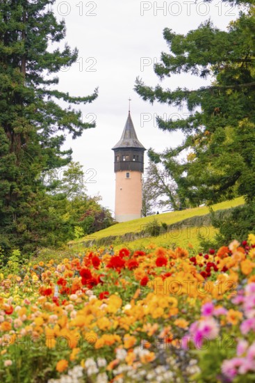 Park with colourful flowers and view of a tower between trees, Mainau flower island, Lake Constance, Germany