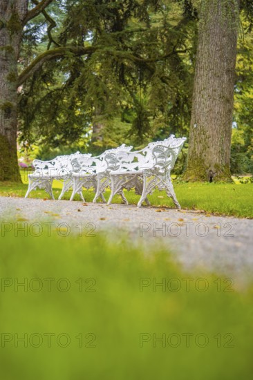 Quiet scenery with white benches in a park, Mainau flower island, Lake Constance, Germany