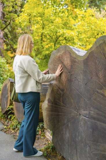 Woman touching a large tree trunk in the forest, Mainau flower island, Lake Constance, Germany