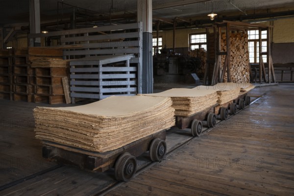 Wagon on rails for transporting cardboard, former paper factory and mill for the production of groundwood pulp board, UNESCO World Heritage Site Verla Factory Village, Maailmanperintökohde Verlan puuhiomo ja pahvitehdas, Verla Rapids, Kymenlaakso, near Kouvola, Finland