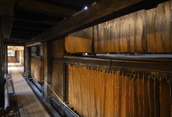 Cardboard hung up to dry, drying plant, factory hall, former paper factory and mill for the production of groundwood pulp board, UNESCO World Heritage Site Verla Factory Village, Maailmanperintökohde Verlan puuhiomo ja pahvitehdas, Verla Rapids, Kymenlaakso, near Kouvola, Finland