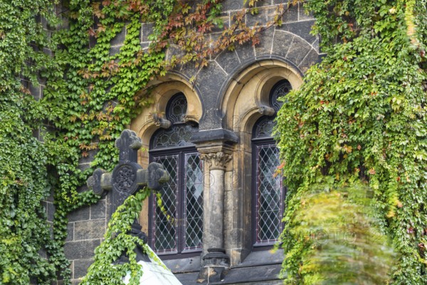 Ingrown façade of the Martin Luther Church, Neustadt, Dresden, Saxony, Germany