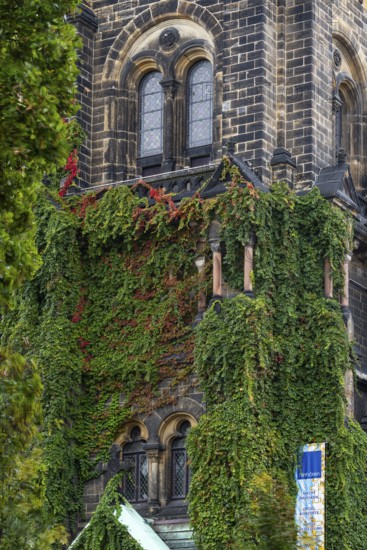 Ingrown façade of the Martin Luther Church, Neustadt, Dresden, Saxony, Germany