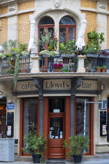 Entrance area of Lloyd's Café & Bar, Jugenstil, Neustadt, Dresden, Saxony, Germany