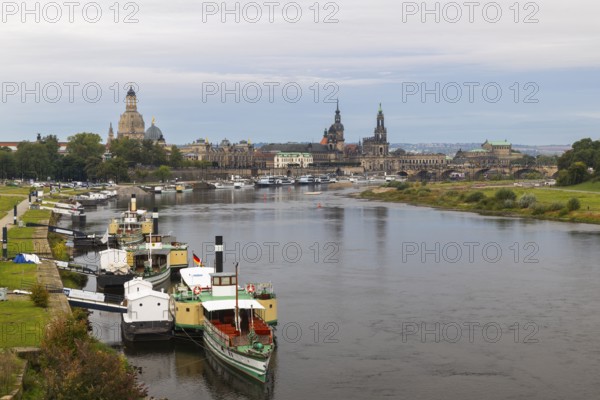 Old town skyline with Brühl's Terraces, Academy of Fine Arts, Church of Our Lady, Sanctissimae Trinitatis Cathedral, Residential Palace, Higher Regional Court, Semper Opera House, paddle steamer on the Elbe, Augustus Bridge, Old Town, Dresden, Saxony, Germany