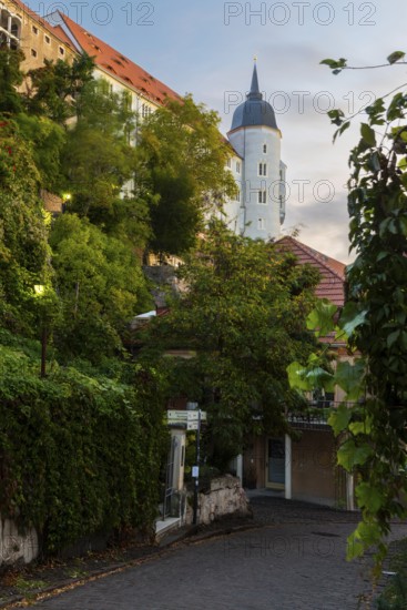 Blue Tower of Albretsburg Castle, alley, trees, old town, Meissen, Saxony, Germany