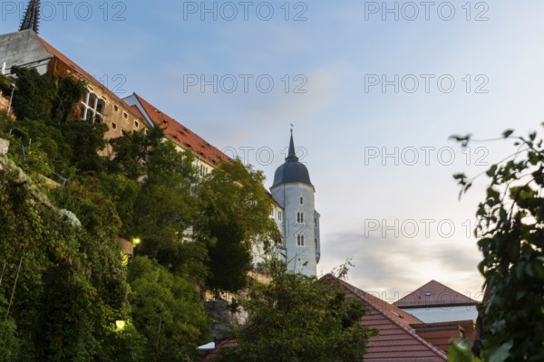 Blue Tower of Albretsburg Castle, Houses, Old Town, Meissen, Saxony, Germany