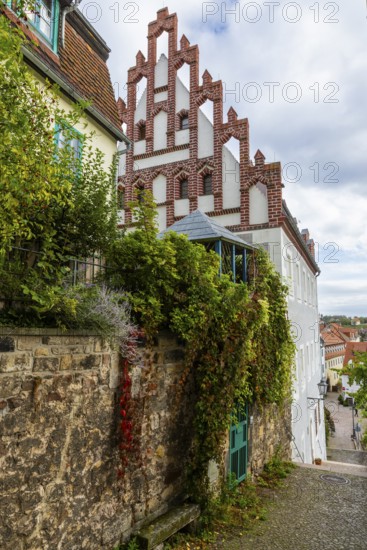 Prelate's House, Gasse, Old Town, Meissen, Saxony, Germany