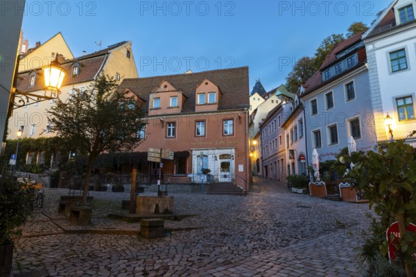 Historic Fountain Burgstraße, Houses, Blue Hour, Old Town, Meissen, Saxony, Germany