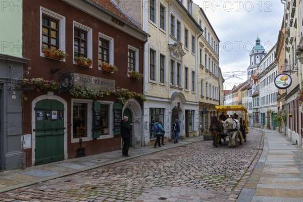 Horse-drawn carriage in the Burgstraße, Church of Our Lady, Jungstil houses, Old Town, Meissen, Saxony, Germany