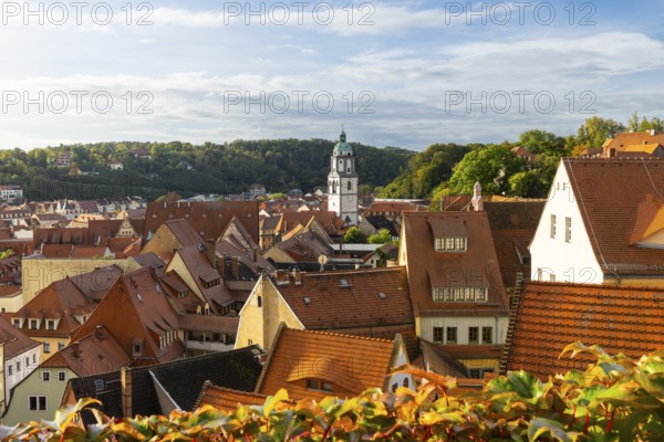 View of the old town, Church of Our Lady, Meissen, Saxony, Germany