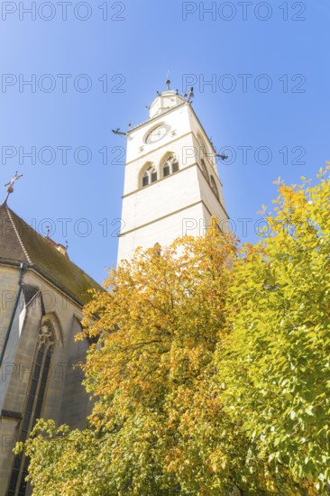 A high church tower surrounded by colourful autumn leaves and a clear blue sky, Überlingen, Lake Constance, Germany