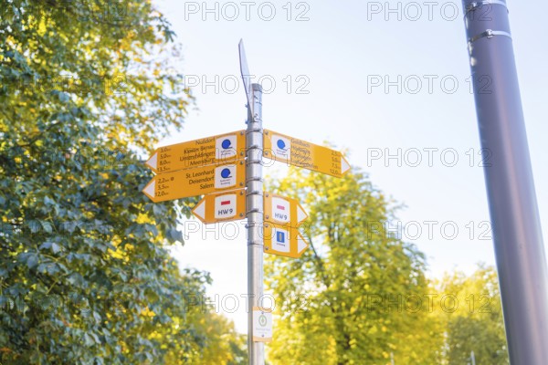 Yellow signposts in front of autumnal trees and a sunny sky with directions, Überlingen, Lake Constance, Germany