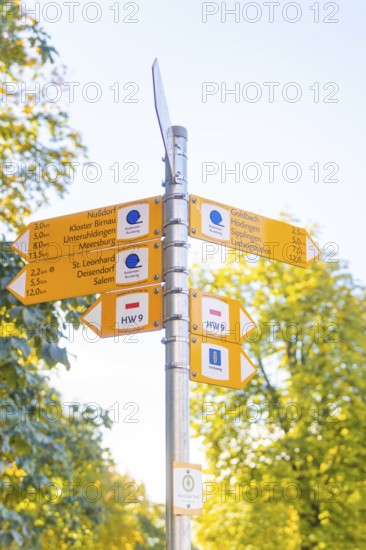 Yellow signposts with directions rise up against a blue sky and trees, Überlingen, Lake Constance, Germany