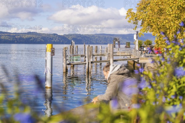 Landing stage at a lake with flowers and people enjoying the autumn atmosphere, Überlingen, Lake Constance, Germany