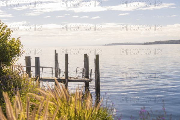 A lonely jetty juts into the calm waters of a lake, surrounded by plants and under a clear sky, Überlingen, Lake Constance, Germany