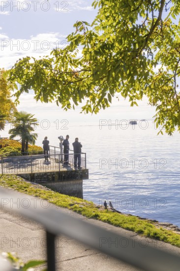 A group of people enjoying the view of the lake from a vantage point under a brightly lit tree, Überlingen, Lake Constance, Germany