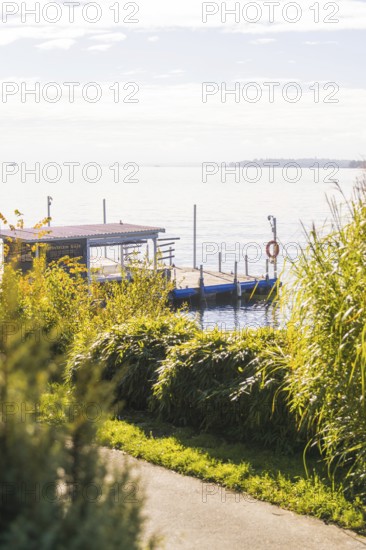 The tranquil lake is complemented by a jetty on the shore, surrounded by lively greenery under a clear sky, Überlingen, Lake Constance, Germany